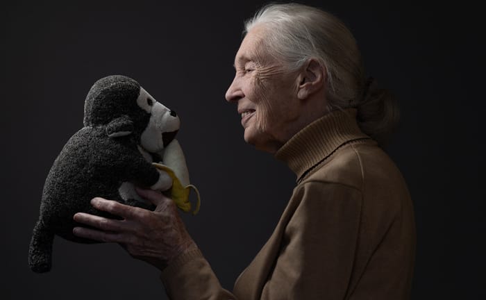 Murió la etóloga  Jane Goodall a los 91 años