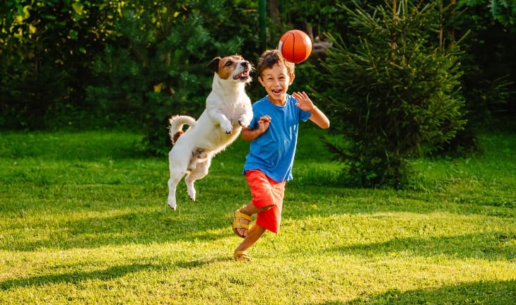 Diez Errores comunes que hay que Evitar para cuidar la Salud Biológica y Emocional de Nuestros Perros