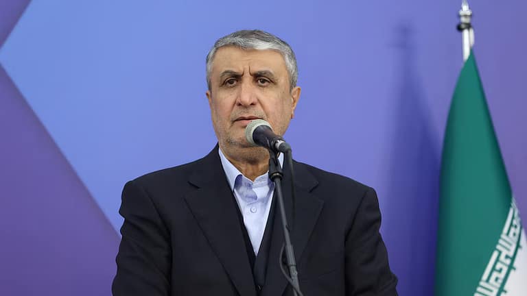 Tras las conversaciones con Washington, el régimen de Irán evalúa aceptar inspectores estadounidenses en sus plantas nucleares