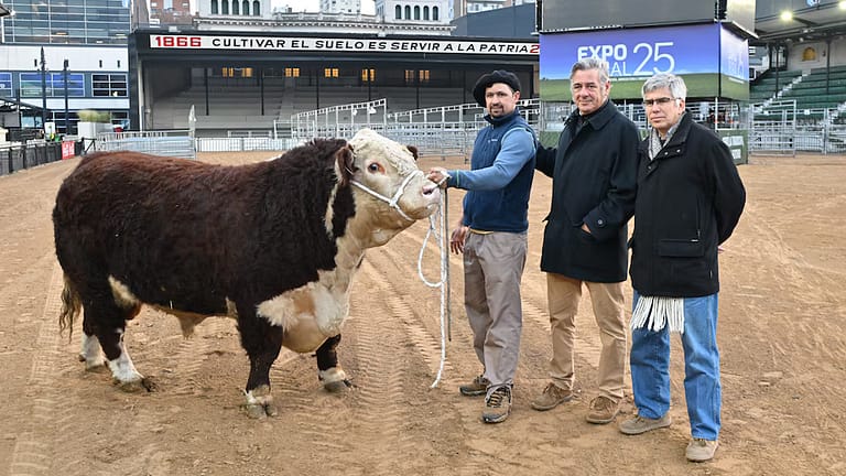 La Rural: “El Escocés” es el primer animal que ingresó a la exposición
