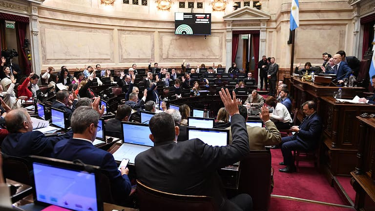 Senado: la oposición rechazó el veto de Milei a la emergencia en discapacidad y le puso límites en el uso de los DNU