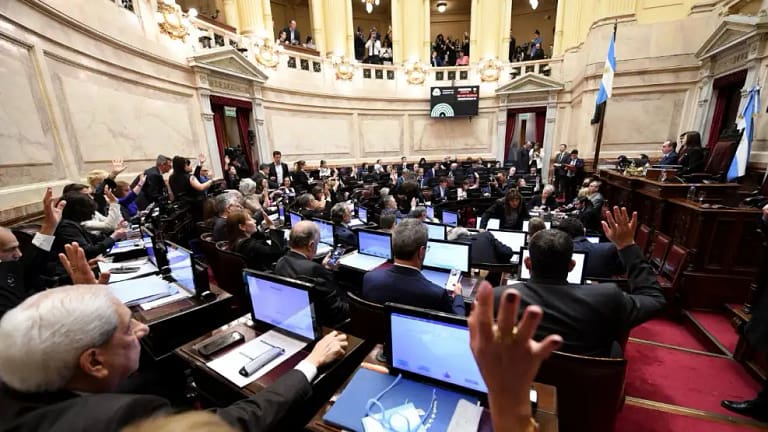 Con amplia mayoría, el Senado rechazó los vetos de Milei y convirtió en ley la emergencia pediátrica y el financiamiento universitario